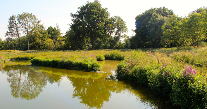 Les méandres de la Sazée. © VALHOR Les méandres de la Sazée. © VALHOR
