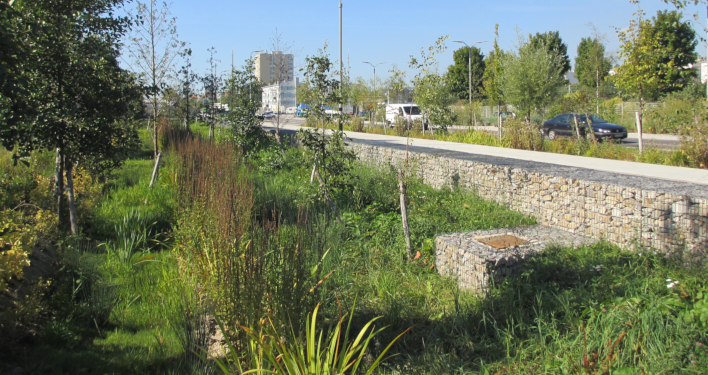 Bassin paysager, Le Havre. © J.M. L’Anton. Bassin paysager, Le Havre. © J.M. L’Anton.
