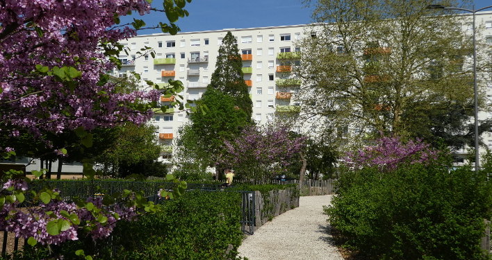 Le quartier sensible Saint-Cyprien à Poitiers (86) a été entièrement requalifié autour du végétal en 2014 Le quartier sensible Saint-Cyprien à Poitiers (86) a été entièrement requalifié autour du végétal en 2014