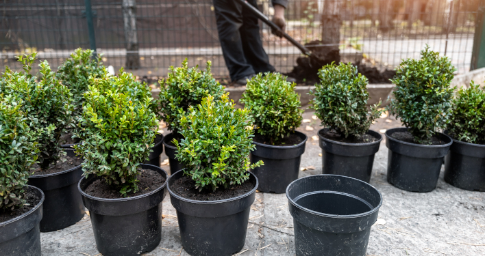 Une solution nationale pour le recyclage des pots horticoles utilisés par les collectivités