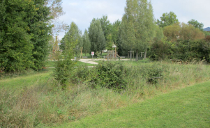 Espaces verts et de nature en ville : quoi de neuf en matière de gestion écologique?