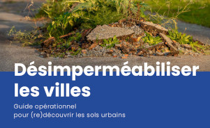Désimperméabiliser les sols en ville