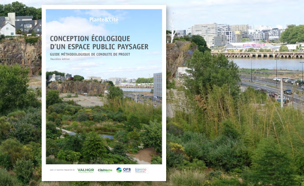 Comment concevoir un espace paysager écologique ?