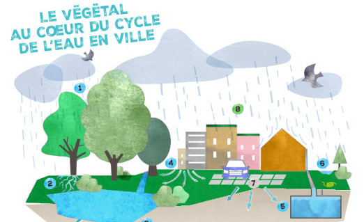 Comment optimiser l’eau de ruissellement en ville ?