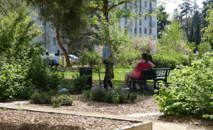 Déchets liés aux incivilités dans les espaces verts, quelles solutions ?