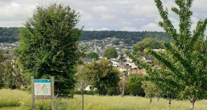 Cultiver les paysages fruitiers en ville : guide d'accompagnement de projets