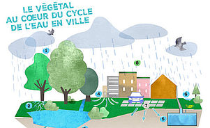 Comment optimiser l’eau de ruissellement en ville ?