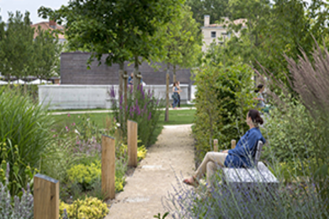 Environnement, santé et bien-être